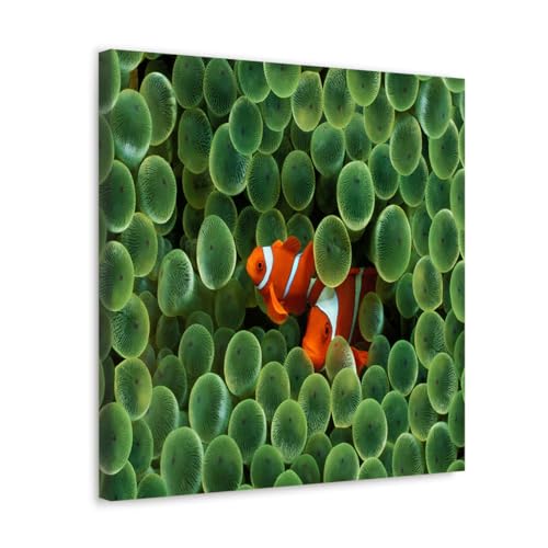 GADGETS WRAP Canvas Gallery Wrap Framed for Home Office Studio Living Room Decoration (17x17inch) - X Tiger