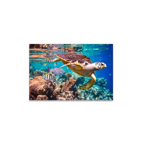 GADGETS WRAP Canvas Gallery Wrap Framed for Home Office Studio Living Room Decoration (14x11inch) - Sea Turtle Swimming