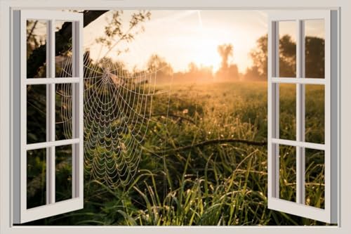 JVERF - JZZA24235 Morning Grass Spider Web| Self-Adhesive Open Window Wall Sticker