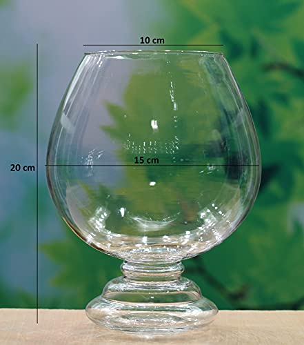 SHOBHANA ENTERPRISES Crystal Clear Glass Fish or Terrarium Wine Cup Bowl (8 inches)