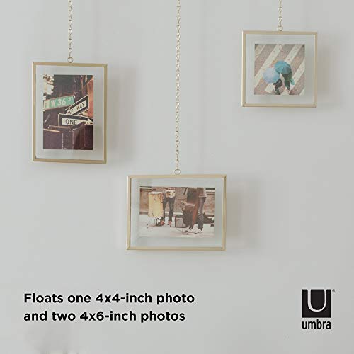 Umbra Steel Fotochain Photo Display (20.32 cm x 15.24 cm x 7.62 cm, Matte Brass)