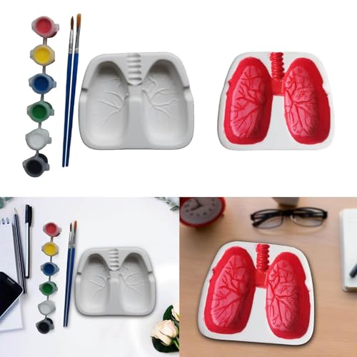SHUBNALI Creative Funny Ashtray Home Decoration Novelty Gift Lungs Shaped