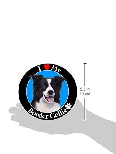 "I Love My Border Collie" Car Magnet With Realistic Looking Border Collie Photograph In The Center Covered In UV Gloss For Weather and Fading Protection Circle Shaped Magnet Measures 5.25 Inches Diameter