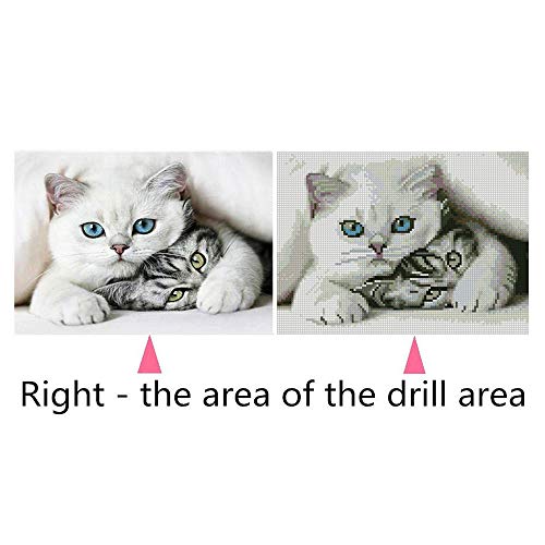 DIY 5D S10106 Cat 40X30 Full Embroidery tings Arts Craft for Home Wall Decor(S10106)-POOWE