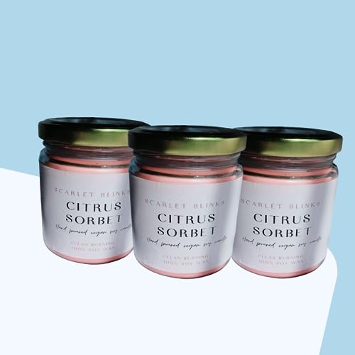 Scarlet Blinks Citrus Sorbet | Soy Wax Candles | Aroma Therapy Candles | Burning Time :-45 HRS Pack of 3