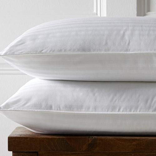 Zesture Bring Home Microfiber Pillow (Standard, White), Set of 1