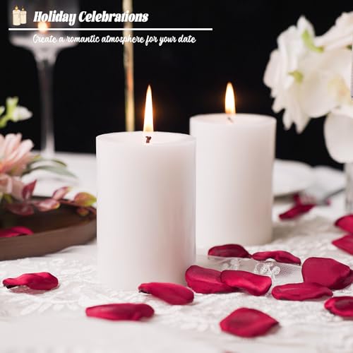 10pcs White Pillar Candles 2.8x4 inch Candles, Smokeless and Dripless Large Candles Pillar 50 Hours Burning Time, Round Candles for Wedding Dinner Home Decor (10pcs)