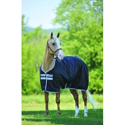 AMIGO Stock Horse Turnout Sheet 68