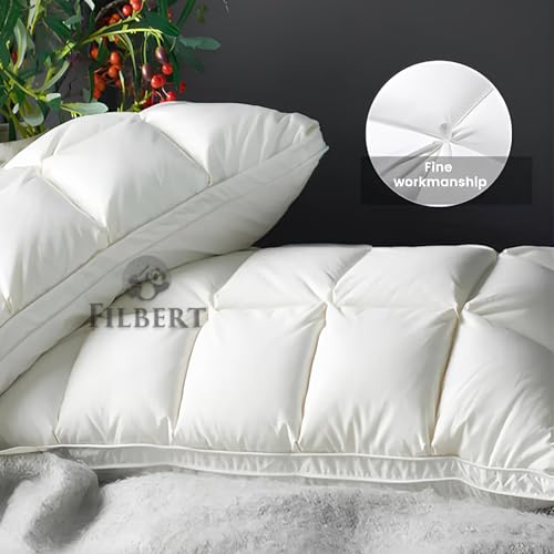 Filbert Super Soft Premium Box Buffle Pinch Pleate Adjustable Hight Pillows 18x28 Inch Standard Size Luxurious Down Alternative Sleeping Pillow | Beige - Set of - 2