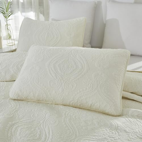 Brandream Quilt Set Cotton Queen King Size Bedspread Coverlet Set 100% Cotton Cream White Luxury Quilted Comforter Sets Damask Embroidery Lightweight