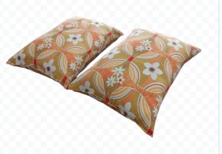 Silk cotton elavum panchi pillow set of two