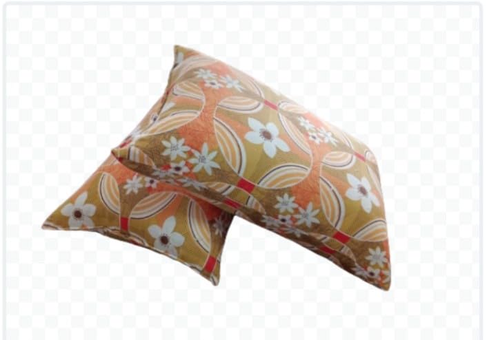 Silk cotton elavum panchi pillow set of two