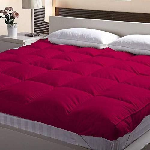 Jaipur Linen 3000 GSM Single Bed Finest Imported Super Microfiber Mattress Padding/Topper- Wine (36 * 78In)