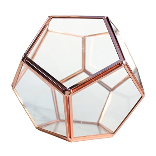Trendy Retail® Geometric Glass Terrarium Planter Succulent Container Multifunctional Tabletop Storage Indoor Ornament