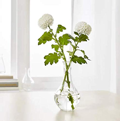 VILJESTARK - ikea - Vase, Clear Glass, 17 cm (6 ¾")