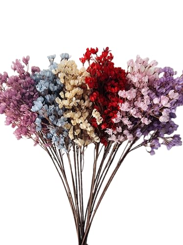 Baby's Breath Artificial Flower Bunch, 3 Stems, 87 cm Height, White (Red)