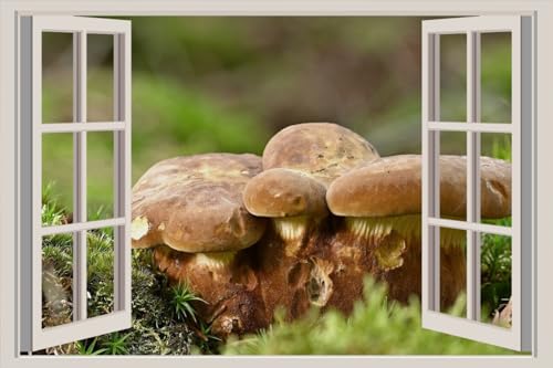 JVERF - JZZA26287 Penny bun Bokeh Moss| Self-Adhesive Open Window Wall Sticker