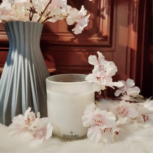 SOHMEI | Outdoor Picnic | Coconut Wax Scented Candles | Japanese Cherry Blossom, Mimosa, Vanilla (200 g)