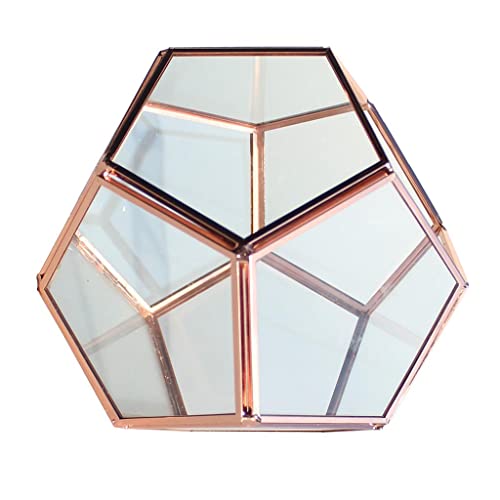 Trendy Retail® Geometric Glass Terrarium Planter Succulent Container Multifunctional Tabletop Storage Indoor Ornament