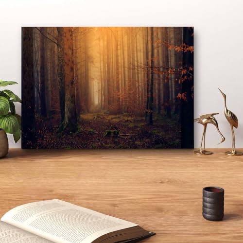 GADGETS WRAP Canvas Gallery Wrap Framed for Home Office Studio Living Room Decoration (14x11inch) - Misty Autumn Forest (2)