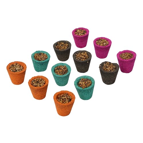 Canfora Satdive Mini Sambrani Dhoop Cup for Pooja Hawan Non Toxic Charcoal Free Dhoop Cups, (Multi Dhoop Rose, Chandan,Sandel,Loban & Mogra)- 24 Cups -Pack of 2