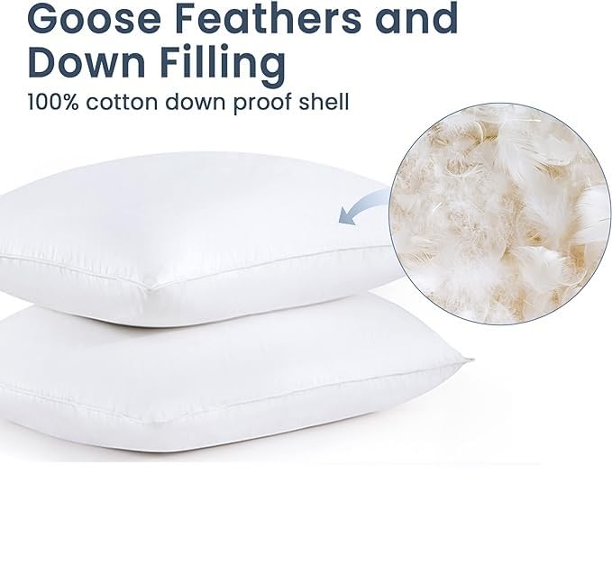 Jewear 50% Goose Down 50% Feather Luxury Cotton White Pillow Set of 2 Piece (17 X 27)