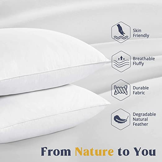 Om Sundaraaya Cotton White 10% Goose Down 90% Feather Pillow 1 Piece Size 20" X 36" (King)