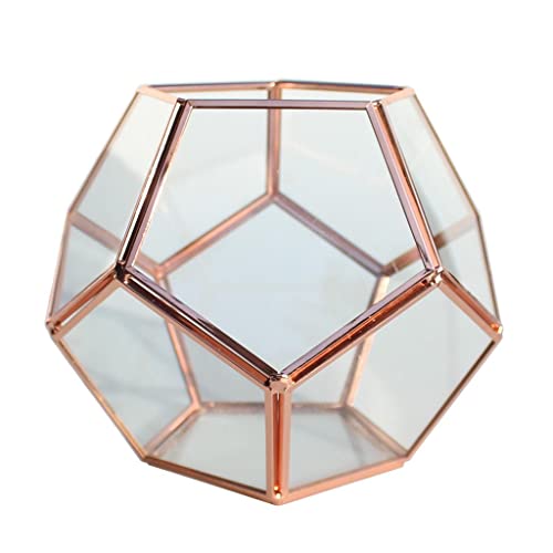 Trendy Retail® Geometric Glass Terrarium Planter Succulent Container Multifunctional Tabletop Storage Indoor Ornament