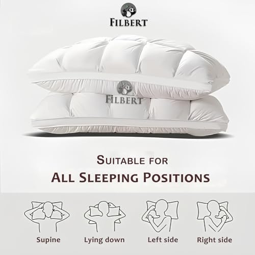 Filbert Super Soft Premium Box Buffle Pinch Pleate Adjustable Hight Pillows 18x28 Inch Standard Size Luxurious Down Alternative Sleeping Pillow | Beige - Set of - 2