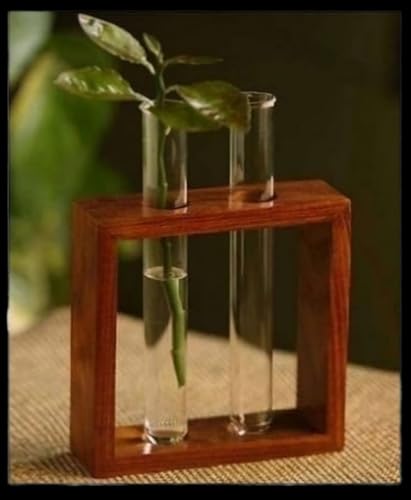 The Pot Dealer Square Wooden Plant Holder Modern Test Tube Planter| Office/Living Room Decoration Items | Glass Planter for Table Top