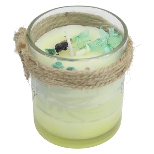 Alluring Artsy Alluring Relaxing Candle for Home Decor | Long Lasting | for Gifting (Transparent, Single)