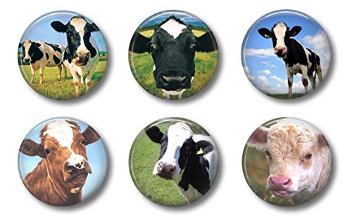 Cute Locker Magnets for Teens - Funny Cows - Fun School Supplies - Whiteboard Office or Fridge - Gift Set (Cows)