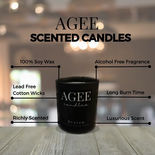 AGEE Black Jar Scented Candle | 100% Organic Soy Wax Candle | Aromatherapy | Non-Toxic | Vegan Candle | 32+ Hours Burn Time | Amazing Home Fragrances (Bitter Bite - Orance Cinnamon)