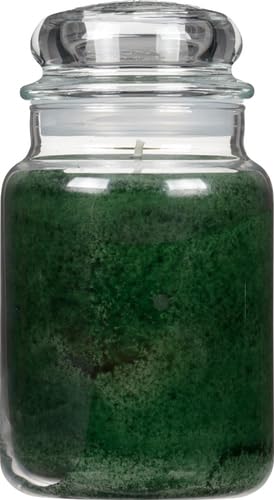 Yankee Candle Company Balsam & Cedar Large Jar Candle