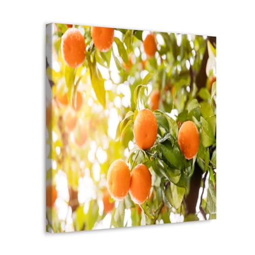 GADGETS WRAP Canvas Gallery Wrap Framed for Home Office Studio Living Room Decoration (17x17inch) - Orange Citrus Tree