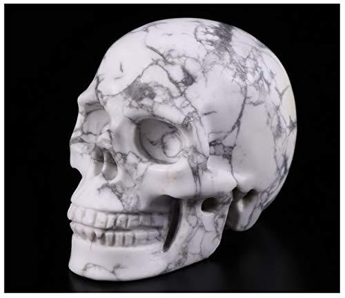 Skullis 2.0” Howlite Crystal Skull, Hand Carved Gemstone Fine Art Sculpture, Reiki Healing Stone Statue.