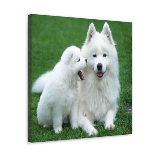 GADGETS WRAP Canvas Gallery Wrap Framed for Home Office Studio Living Room Decoration (17x17inch) - Mom And Baby Dog