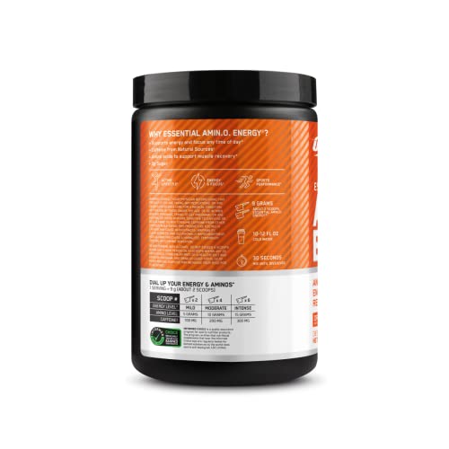 Optimum Nutrition (ON) Amino Energy - Pre Workout with Green Tea Extract, BCAA, Amino Acids, Green Coffee Extract, Energy Powder - Orange Cooler, 30 Servings