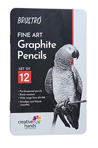 BRUSTRO ARTISTS’ FINEART GRAPHITE PENCIL SET OF 12 (10B-2H) + Free 2 Brustro ECO-PVC Dust-free erasers worth Rs24