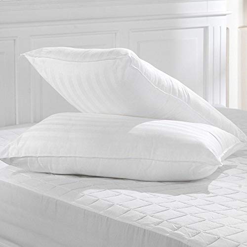 Zesture Bring Home Microfiber Pillow (Standard, White), Set of 1