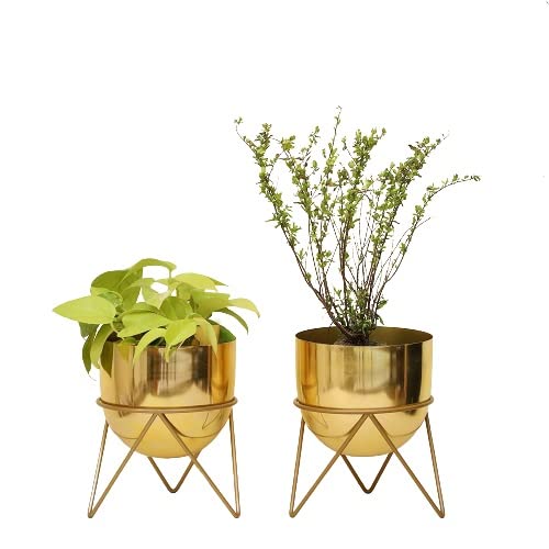 HomeShastra® Premium Gold Pot Metal Planters with Stand | Pack of 2 | 8 Inch (Height) by 6 inch (Dia) | Planter for Living Room and Bedroom Interior Design | Best Decor Gift