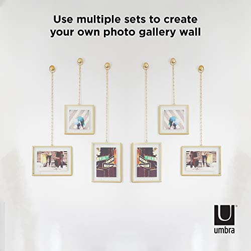 Umbra Steel Fotochain Photo Display (20.32 cm x 15.24 cm x 7.62 cm, Matte Brass)