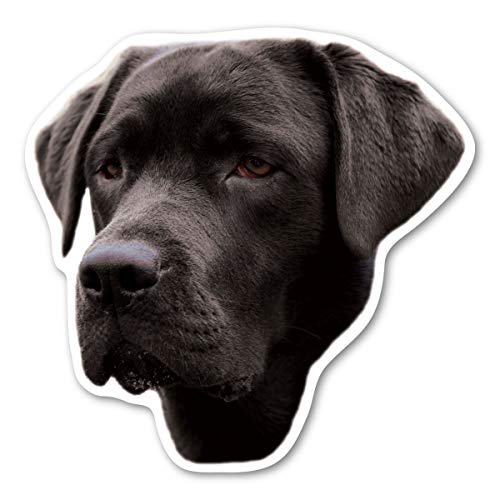 (Black) Labrador Retriever Magnet