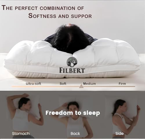 Filbert Super Soft Premium Box Buffle Pinch Pleate Adjustable Hight Pillows 18x28 Inch Standard Size Luxurious Down Alternative Sleeping Pillow | Beige - Set of - 2