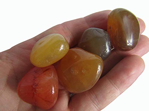 CircuitOffice 5 Piece Carnelian Tumbled Stones (0.75-1.5"), in A Velvet Bag,Healing Stones, Metaphysical Healing, Chakra Stones for Wicca, Reiki, Healing, Metaphysical, Chakra, Energy or Gift