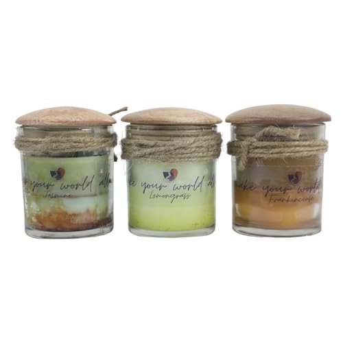 Alluring Artsy Alluring Relaxing Candle for Home Decor | Long Lasting | for Gifting (Transparent, Set of 3)