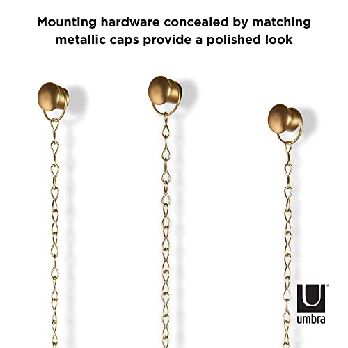 Umbra Steel Fotochain Photo Display (20.32 cm x 15.24 cm x 7.62 cm, Matte Brass)