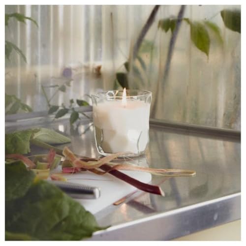 Digital Shoppy Scented Candle in Glass, Rhubarb elderflower/White, 35 hr