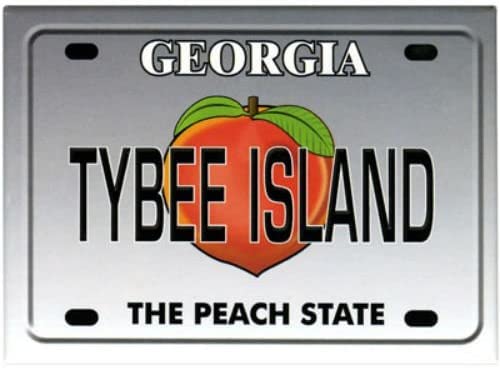 Tybee Island Georgia License Plate Fridge Collector's Souvenir Magnet 2.5" X 3.5"