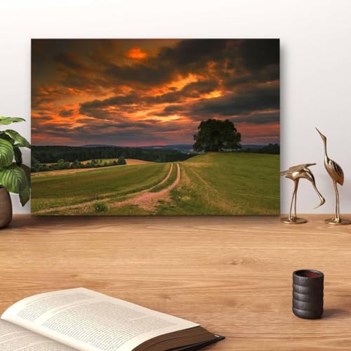 GADGETS WRAP Canvas Gallery Wrap Framed for Home Office Studio Living Room Decoration (14x11inch) - Green Grass Field Sunset Photograph